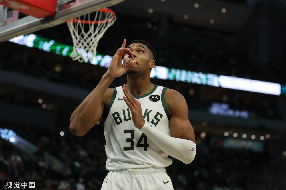 灰熊的赛场 灰熊的赛场